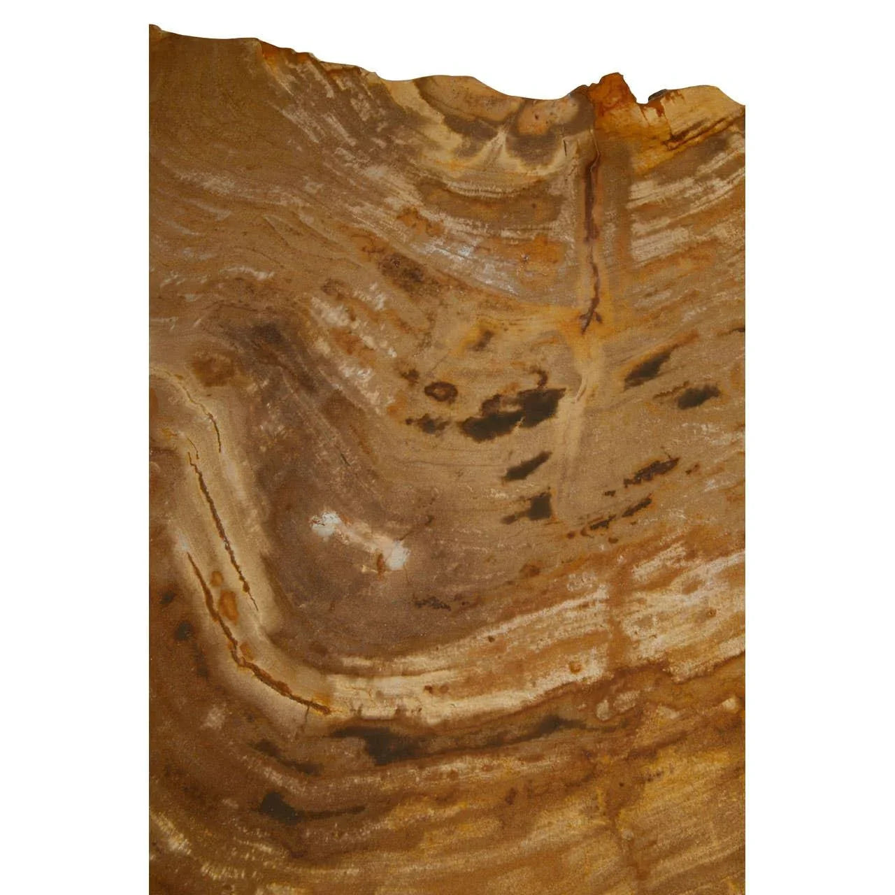 Close up of natural brown wood tabletop with unique grain and live edge detailing