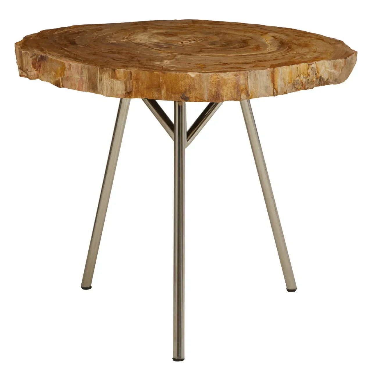 Enchanted Petrified Wood Side Table