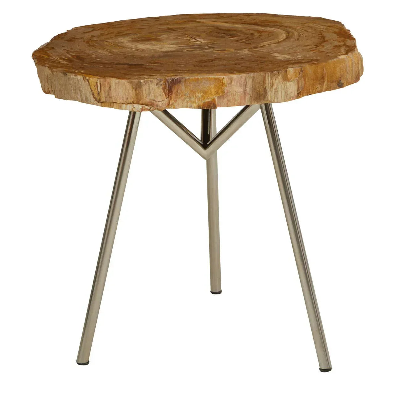 Petrified wood side table with natural wood top and three metal legs on white background