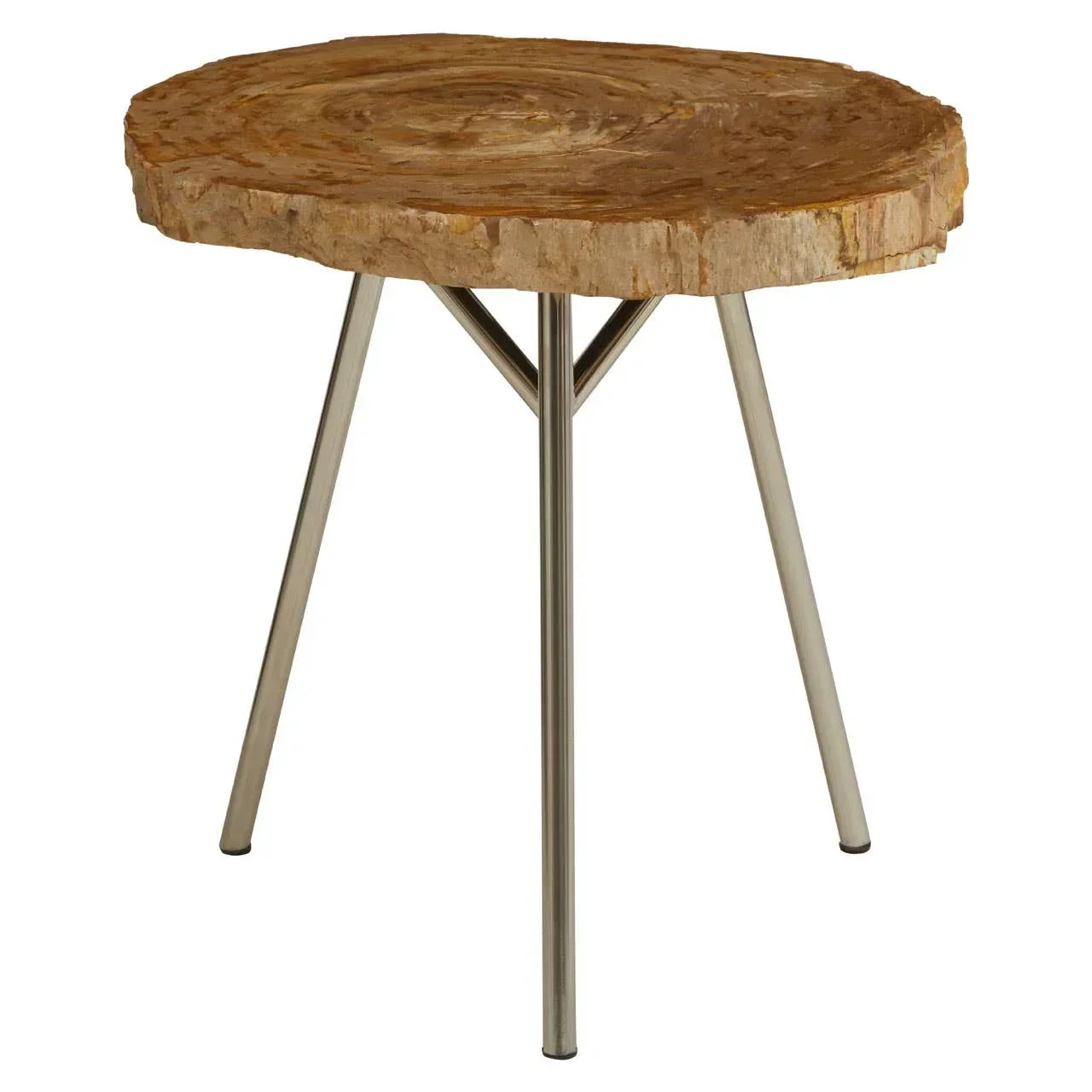 Petrified wood side table with natural edge top and three metal legs, front angle view