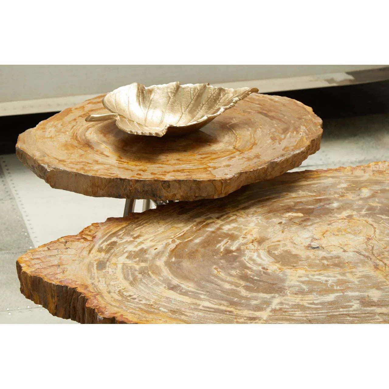 Petrified wood coffee table with gold leaf decorative bowl on top