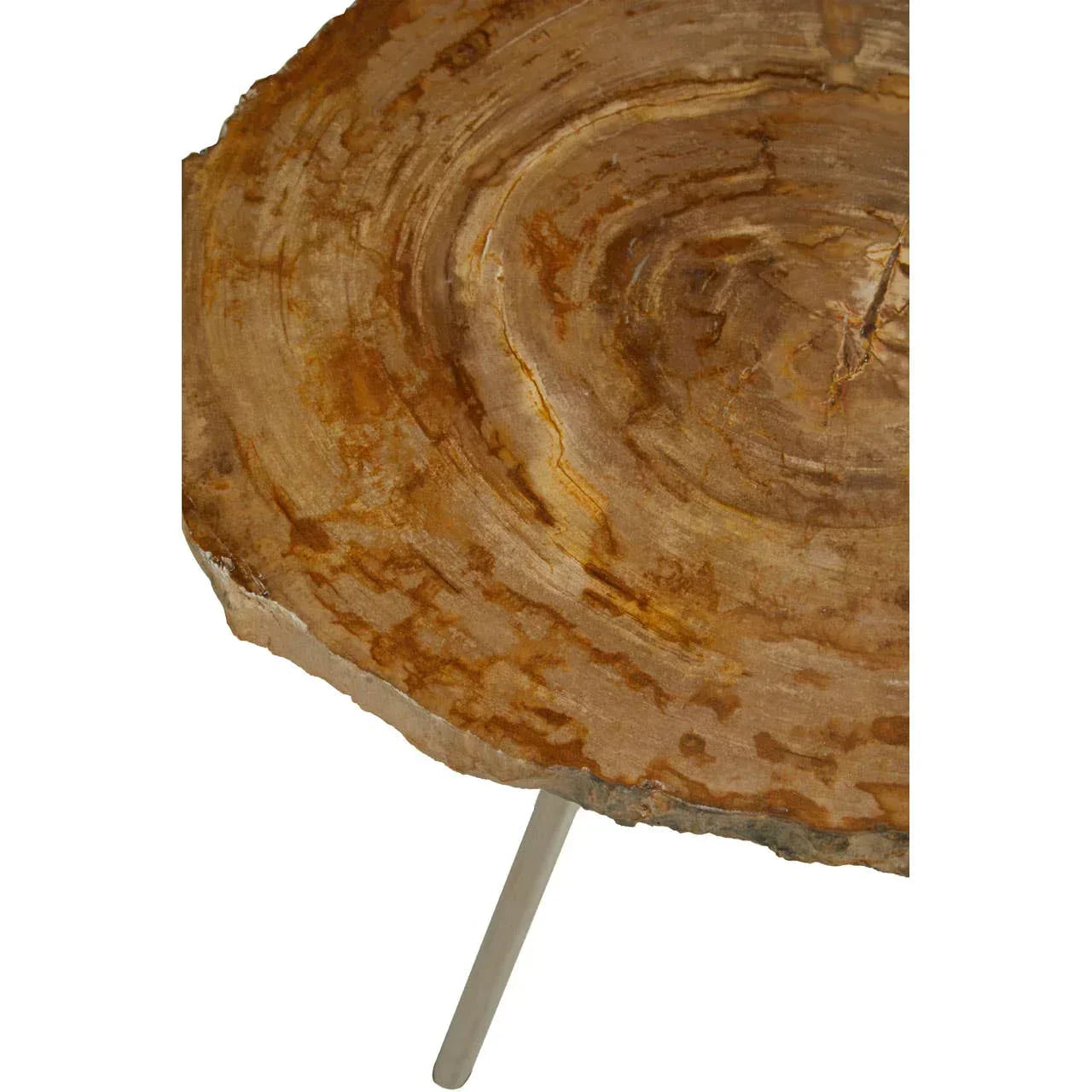 Natural petrified wood side table with round top and metal leg, close-up angle