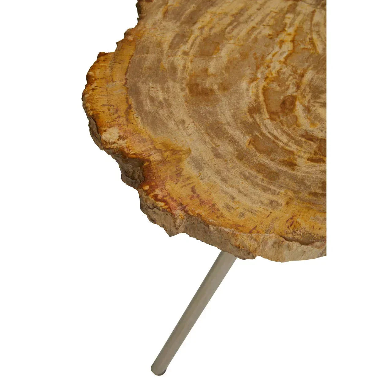 Natural wood side table top with live edge and slim metal leg, close-up angle