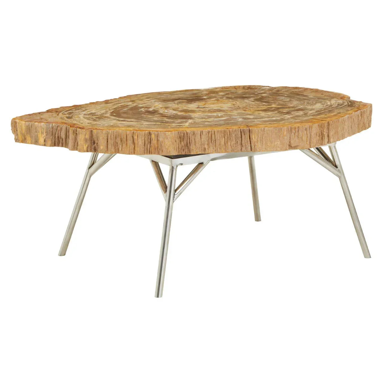 Petrified wood coffee table with irregular top and silver metal legs