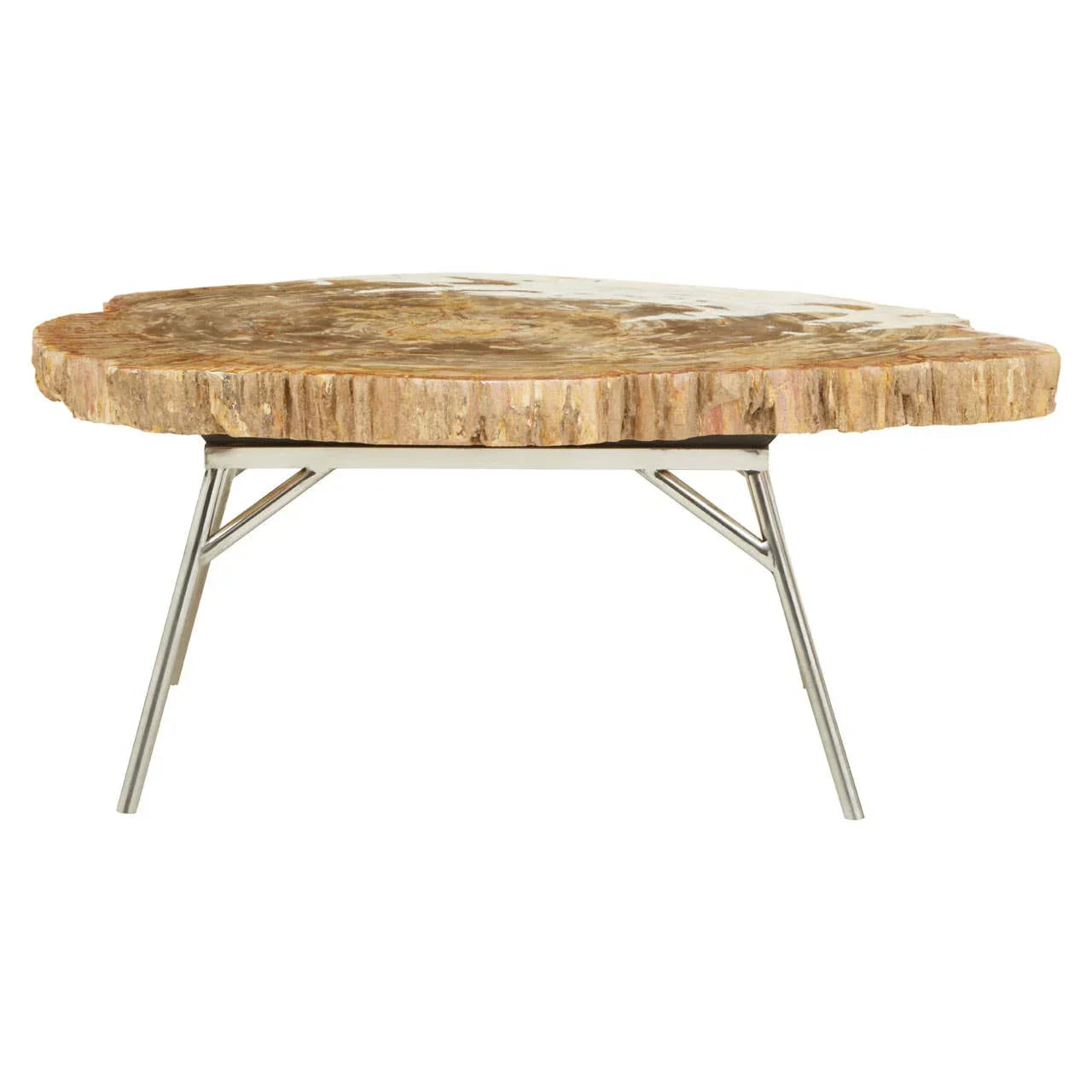 Petrified wood coffee table with natural edge top and chrome metal legs