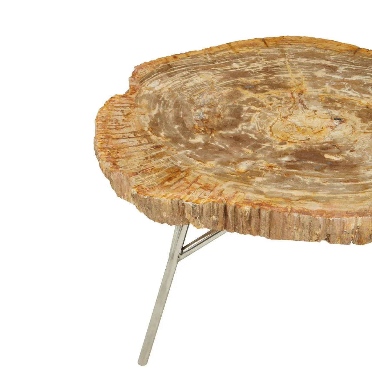 Petrified wood coffee table with natural edge top and chrome metal legs, angled view