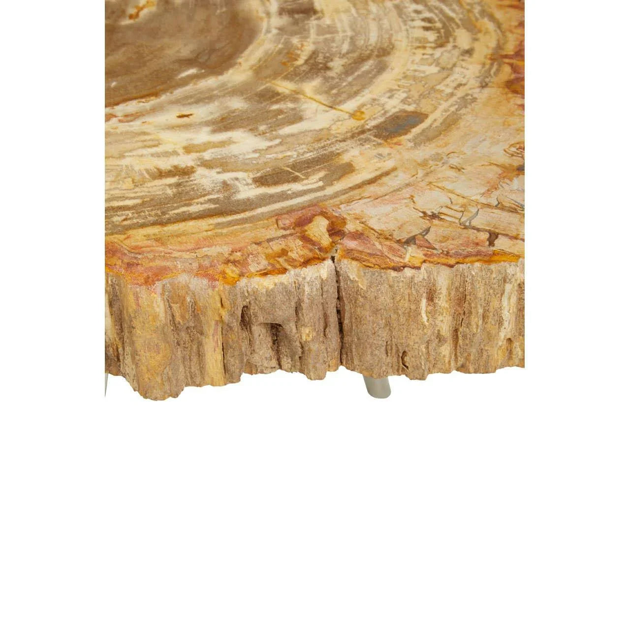 Close-up of petrified wood coffee table edge showing natural texture and wood grain detail