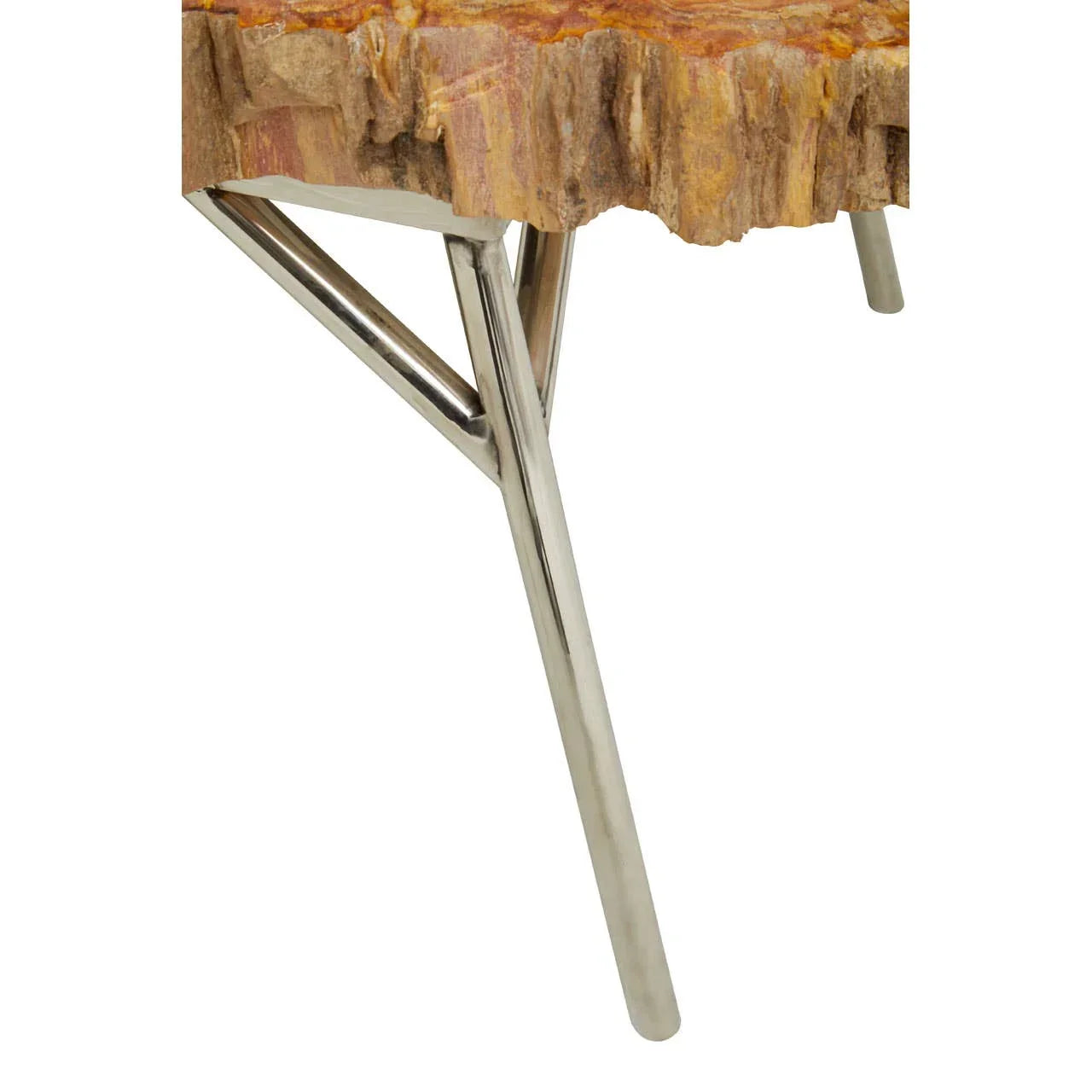 Petrified wood side table with natural edge and chrome metal legs, close-up view