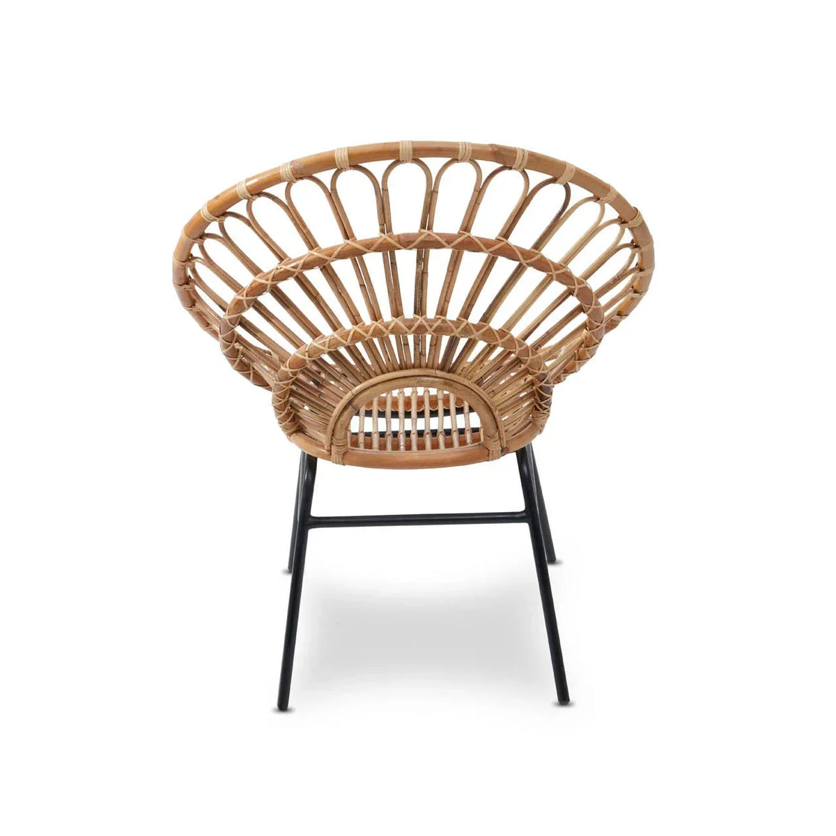 Curved rattan accent chair with black metal legs, rear view on white background