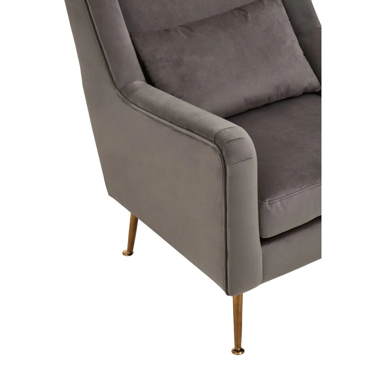 Luxe Velvet Accent Chair