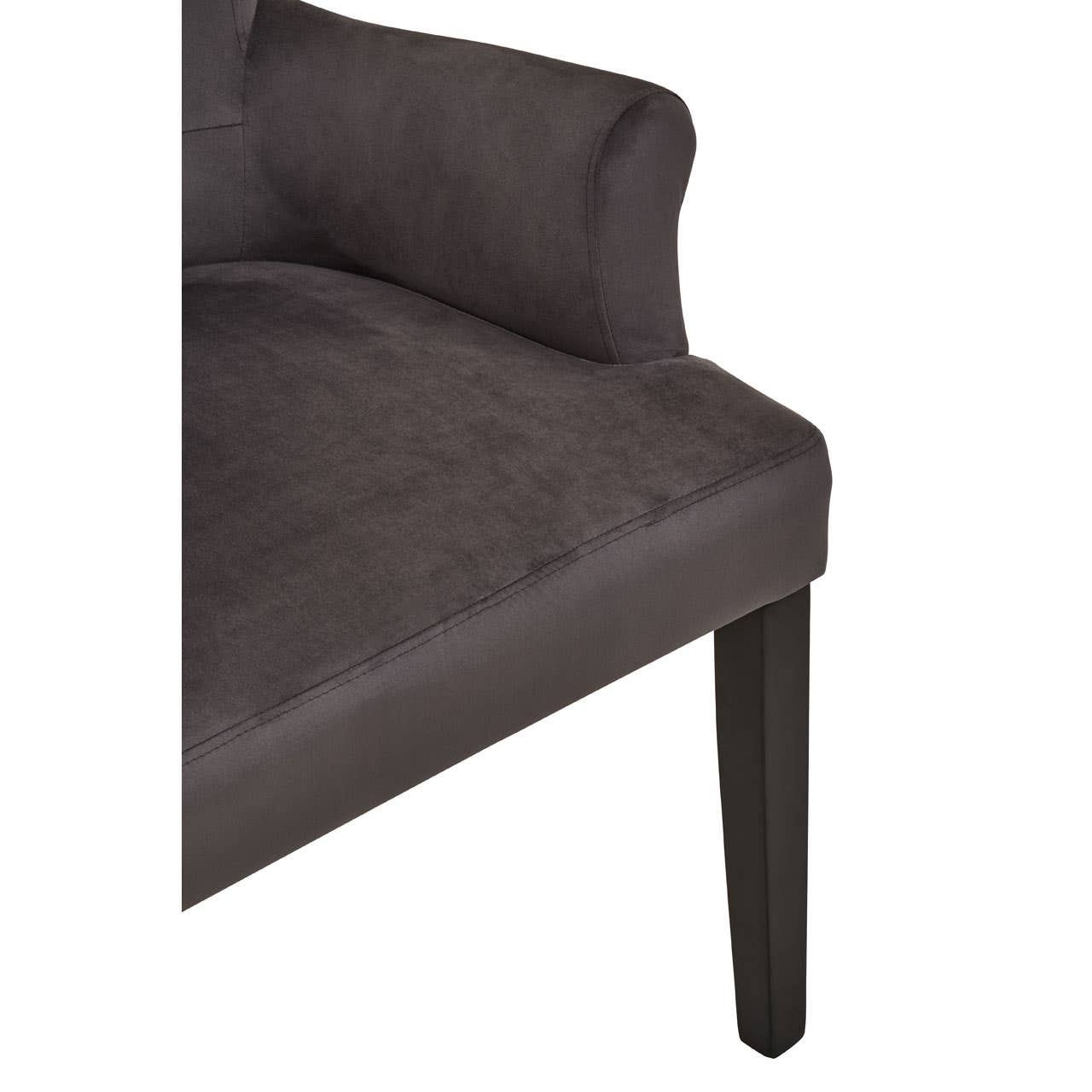 Plush Velvet Ring Back Chair