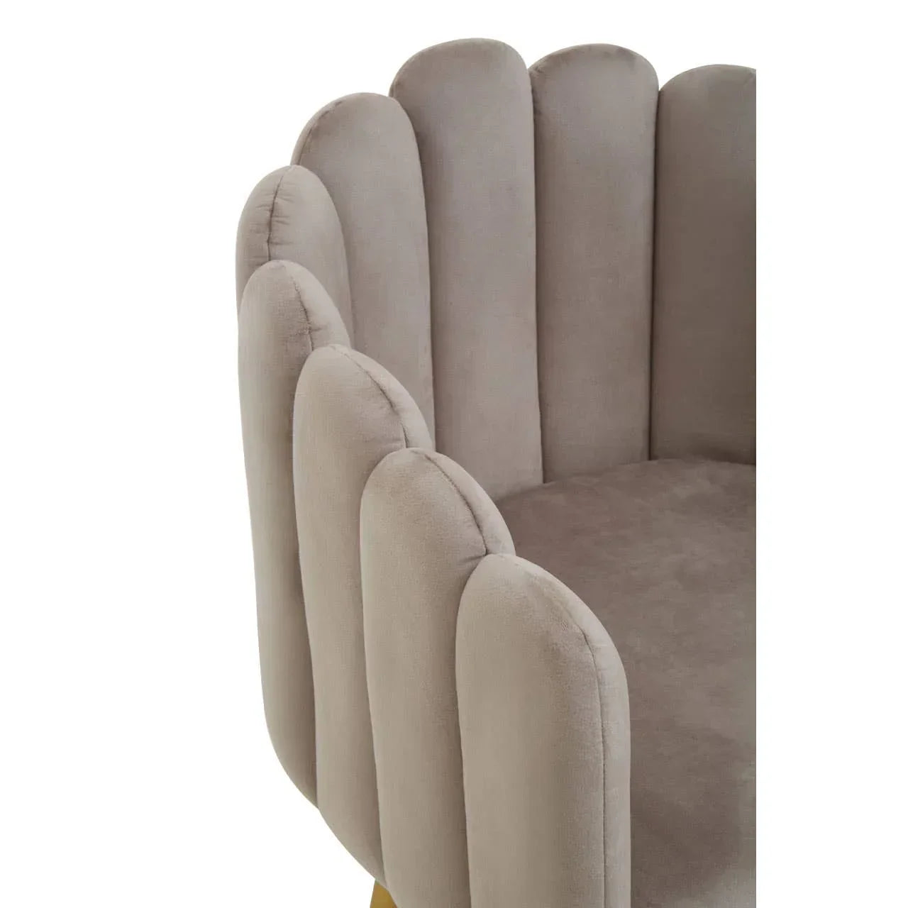 Close up of scalloped back beige velvet armchair with plush seat cushion