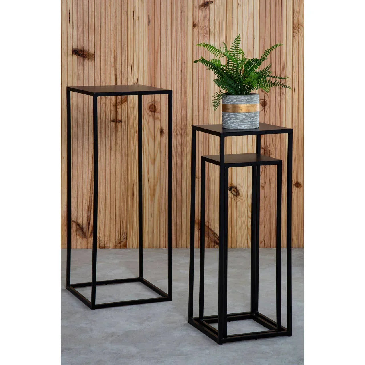 Set of two black metal plant stands, one with a potted fern, against wood panel wall