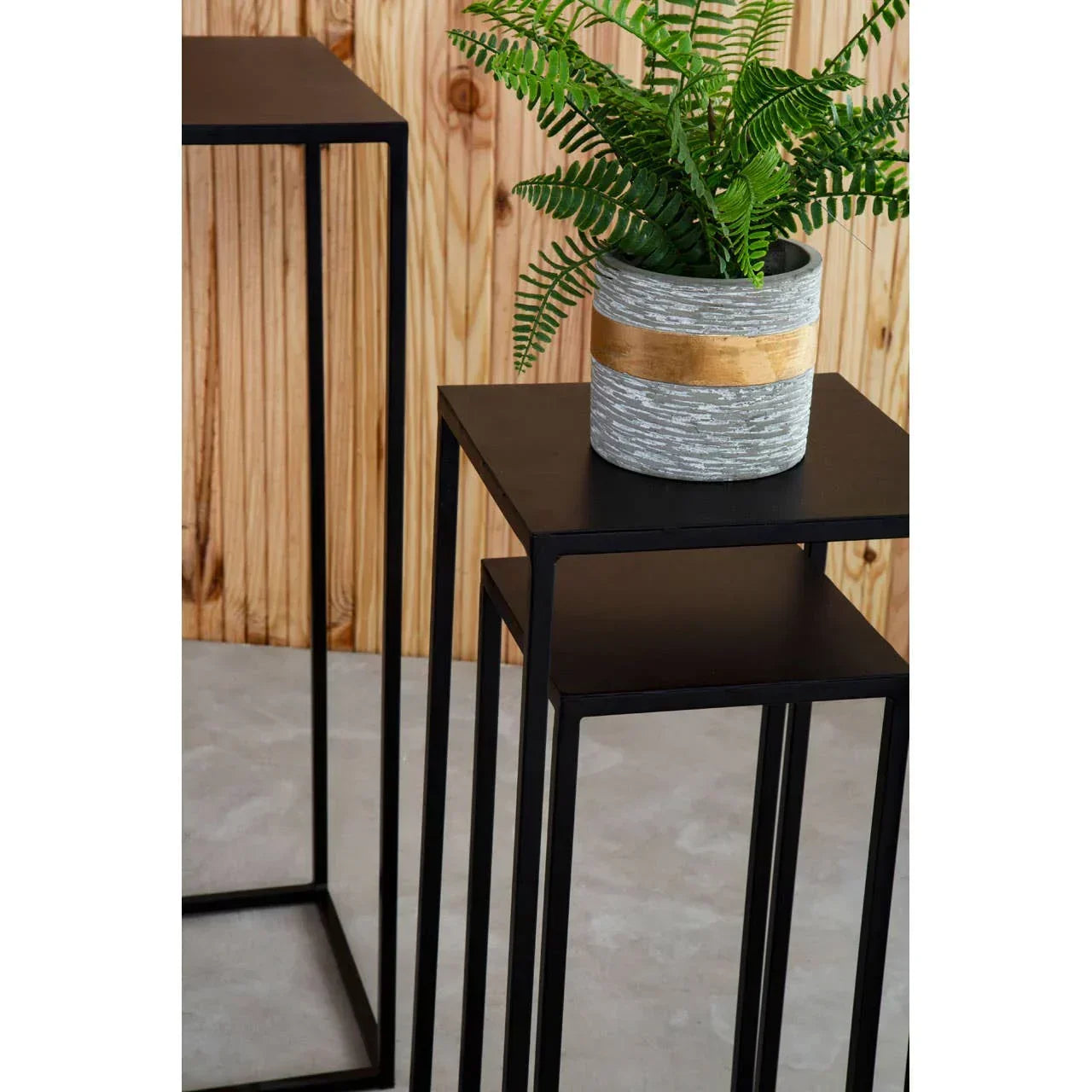 Black metal plant stands with a potted fern against a wooden wall and concrete floor
