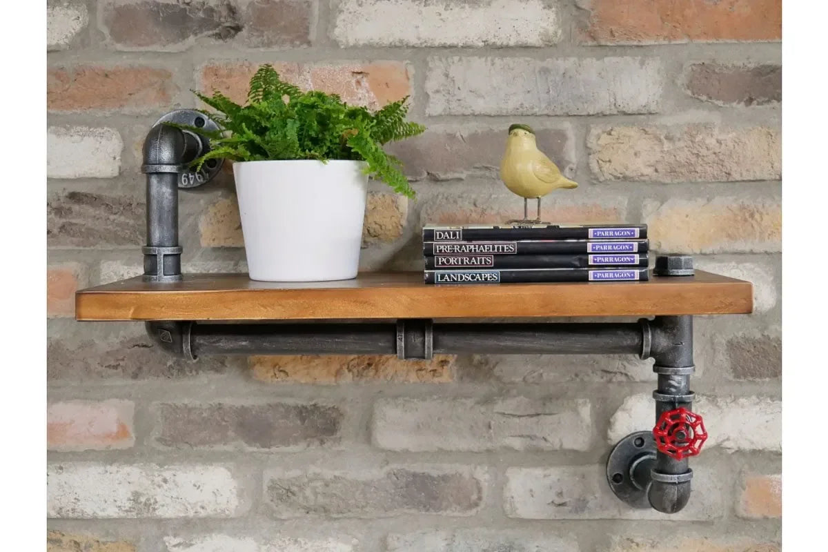 Industrial pipe wall shelf with wood top, potted plant, books, and bird ornament