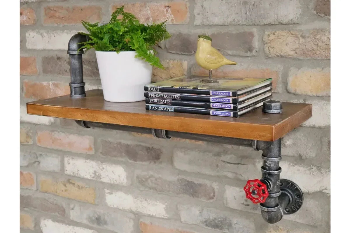 Industrial pipe wall shelf with wood top, potted fern, books, and bird ornament