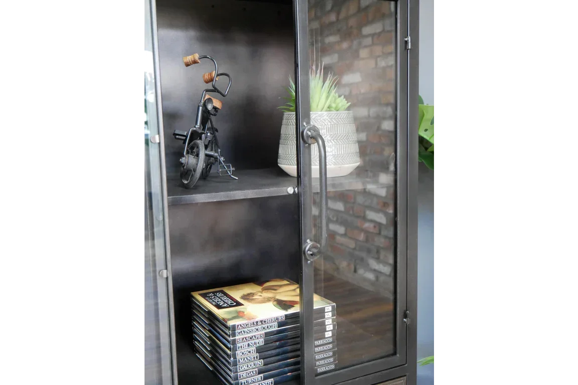 Black metal display cabinet with glass door, books, plant pot and miniature bicycle decor