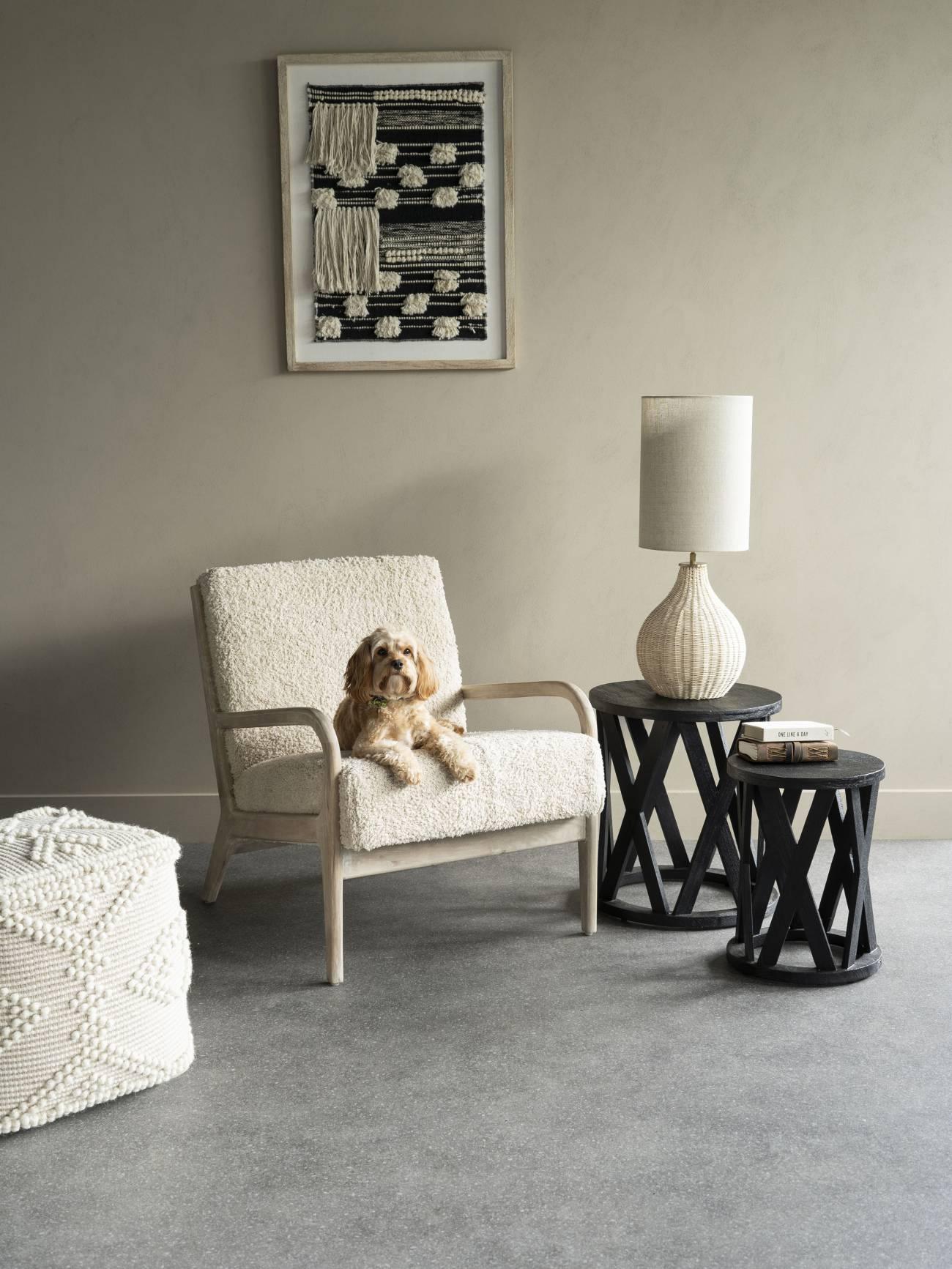 Cream textured armchair with a dog, beside black side tables and a lamp.