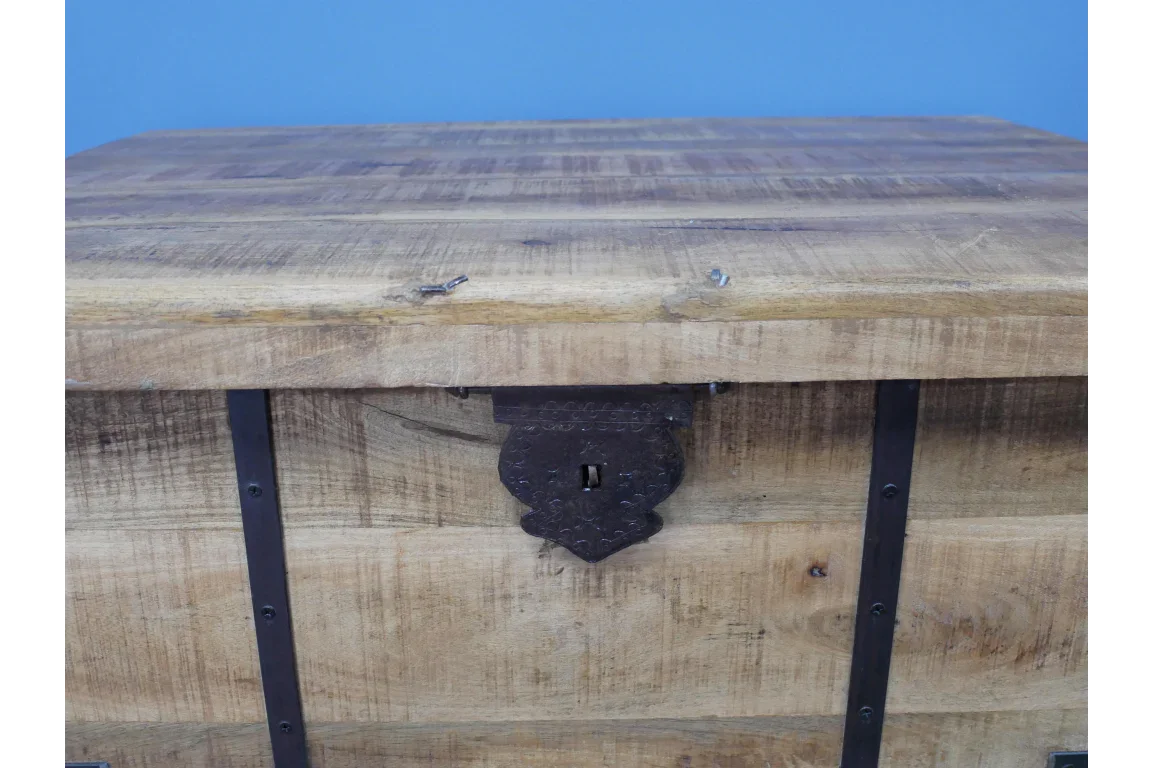 Trunk / Coffee Table - 8151