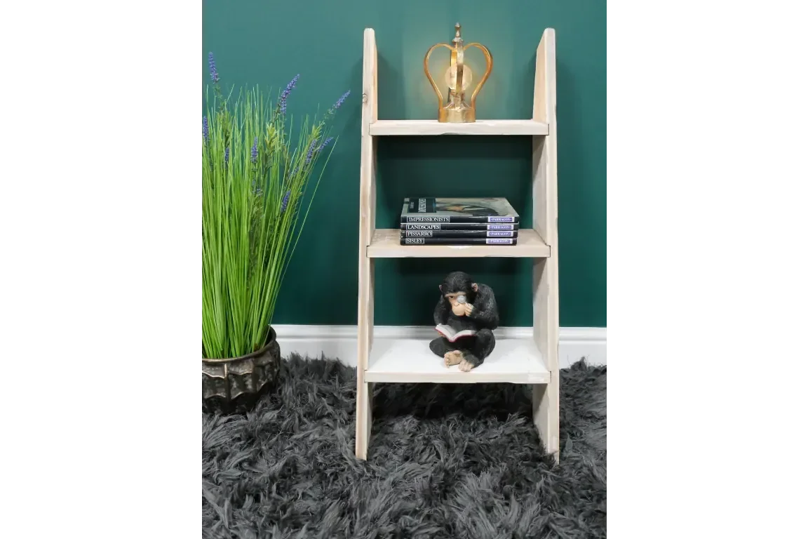 Decorative Ladder - 8236