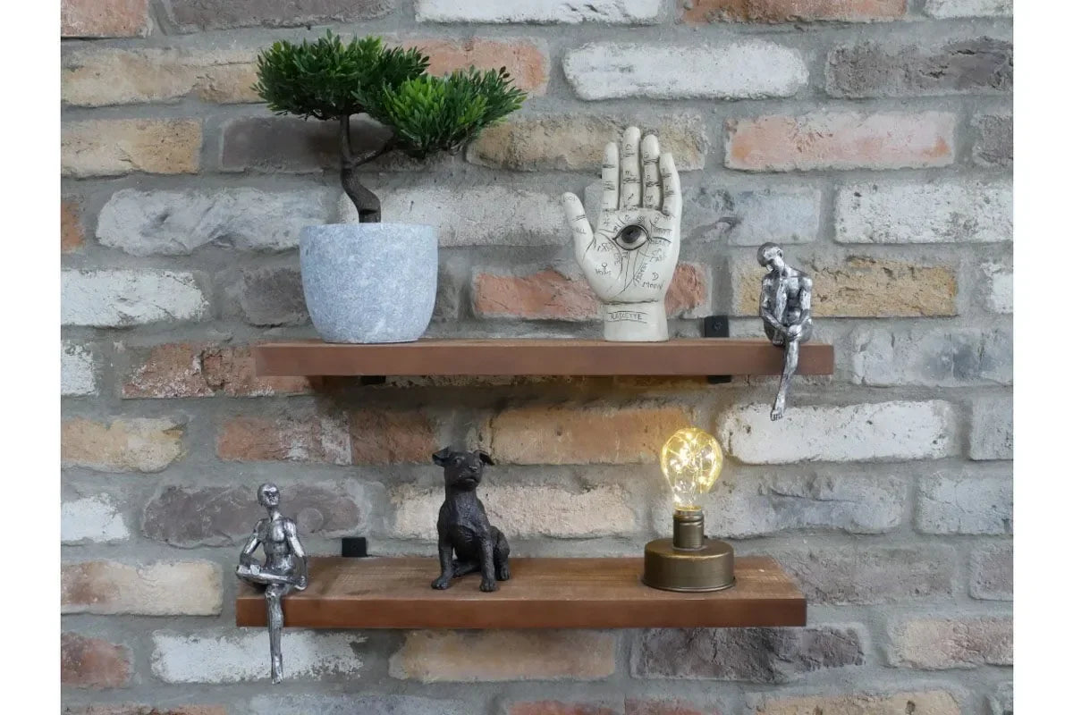 Wooden floating shelves with decor items, potted plant, dog ornament, table lamp, wall mounted