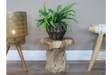 Root Side / Plant Stand - 8836
