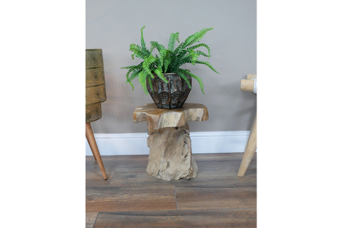 Root Side / Plant Stand - 8836
