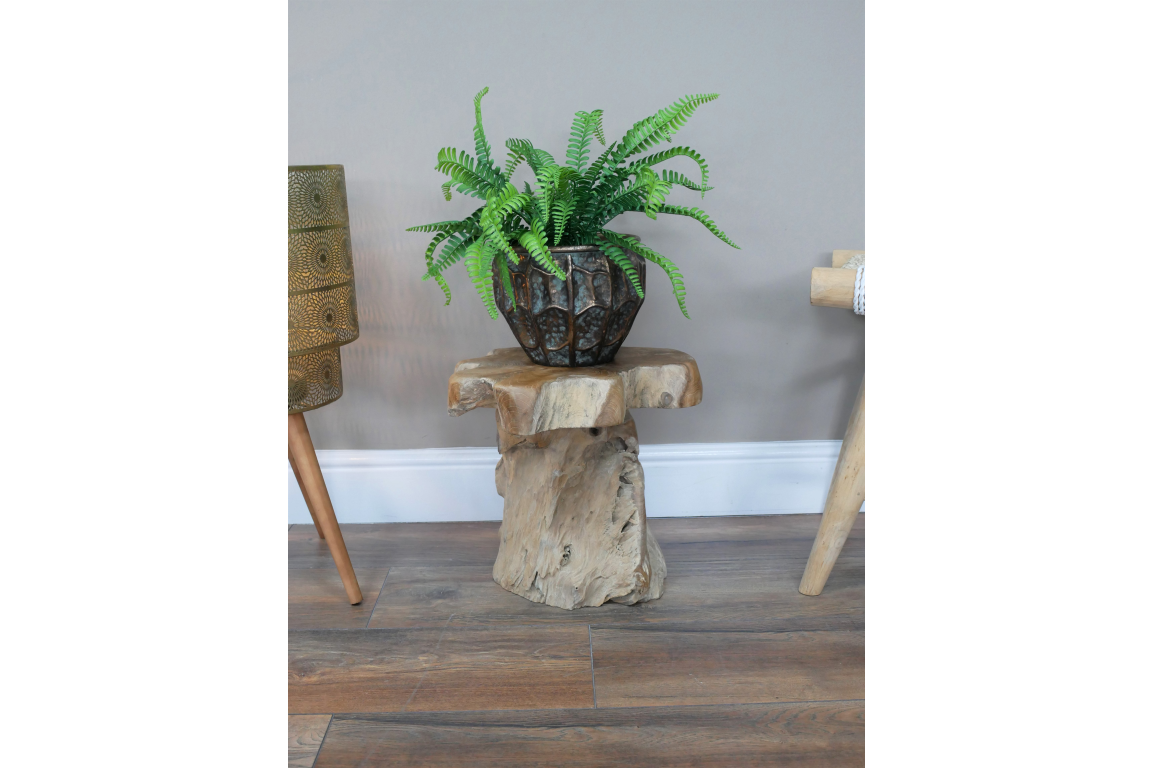 Root Side / Plant Stand - 8836