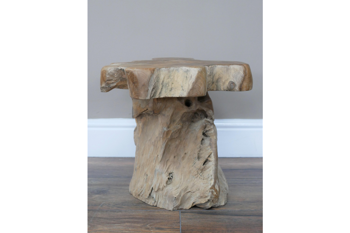 Root Side / Plant Stand - 8836