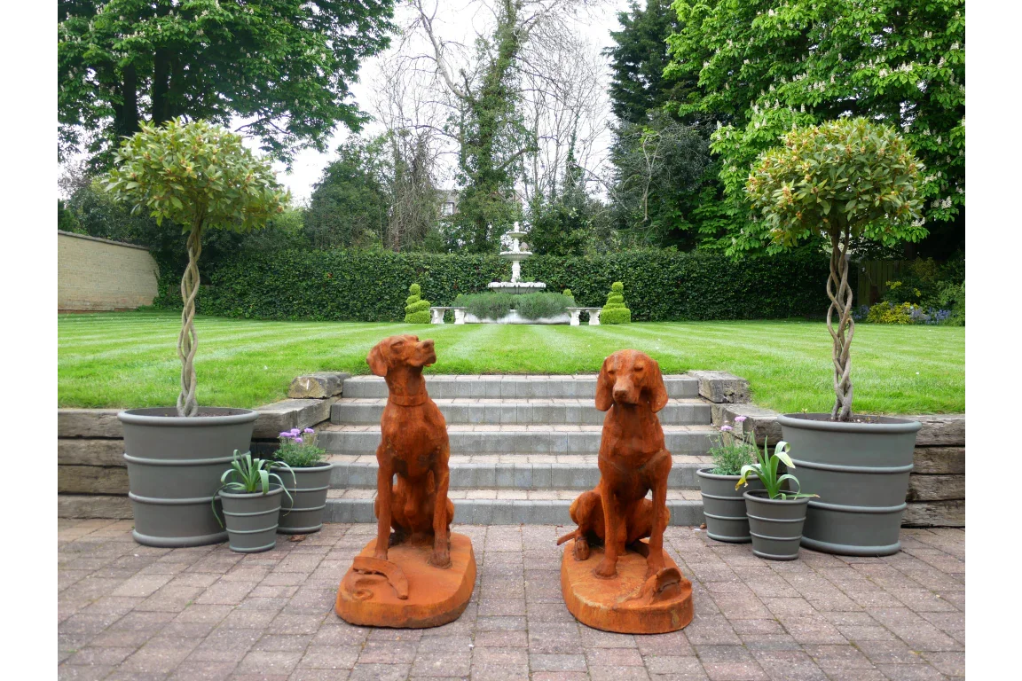 Rusty Pair Of Gun Dogs - 8839