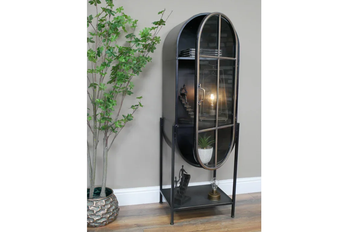 Black metal display cabinet with glass door and shelves, next to potted decorative plant