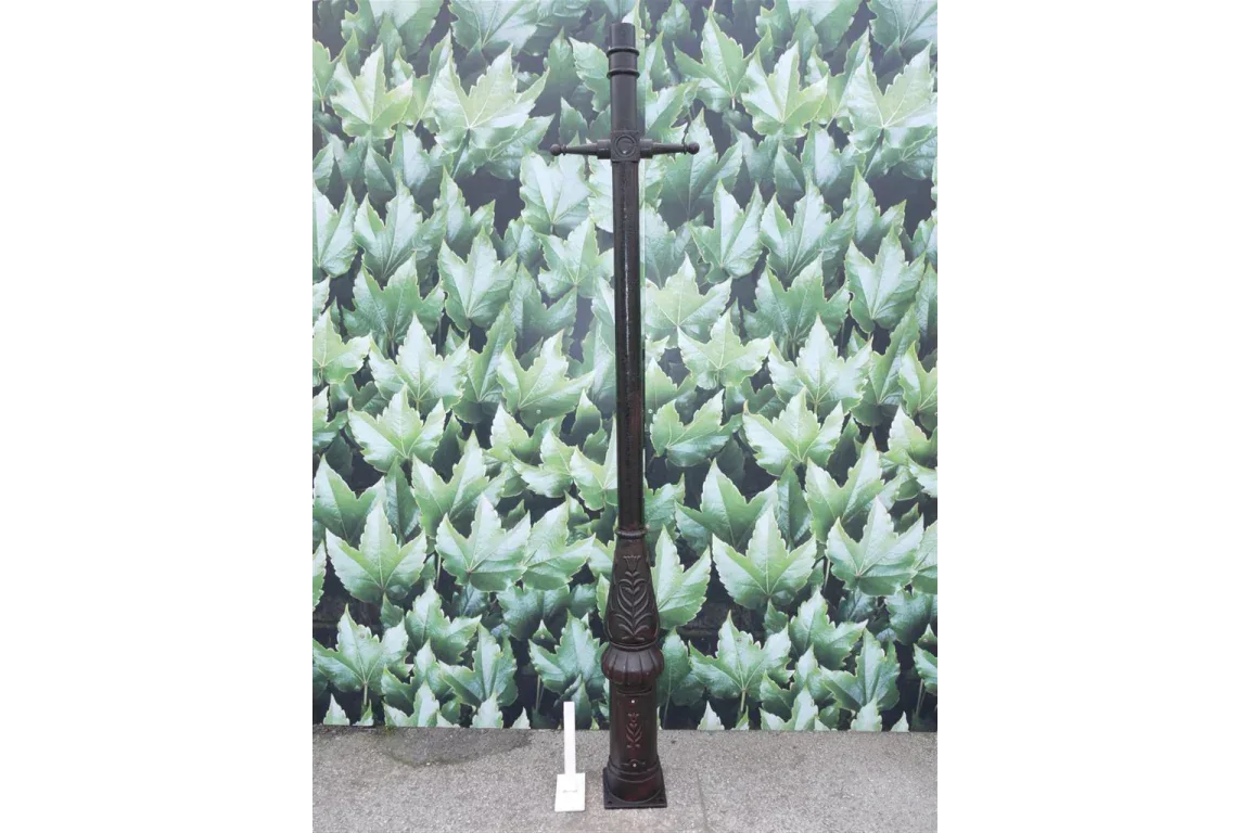 Black cast iron lamp post with decorative base standing on concrete in front of leaf backdrop