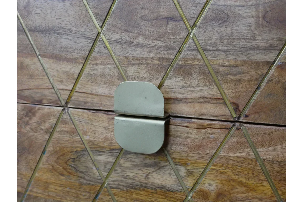 Geometric wood cabinet door with brass inlay and gold metal handle, close-up view