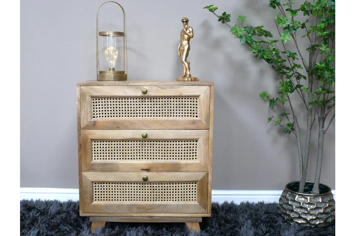 Wooden rattan chest of drawers with brass knobs in modern living room beside potted plant