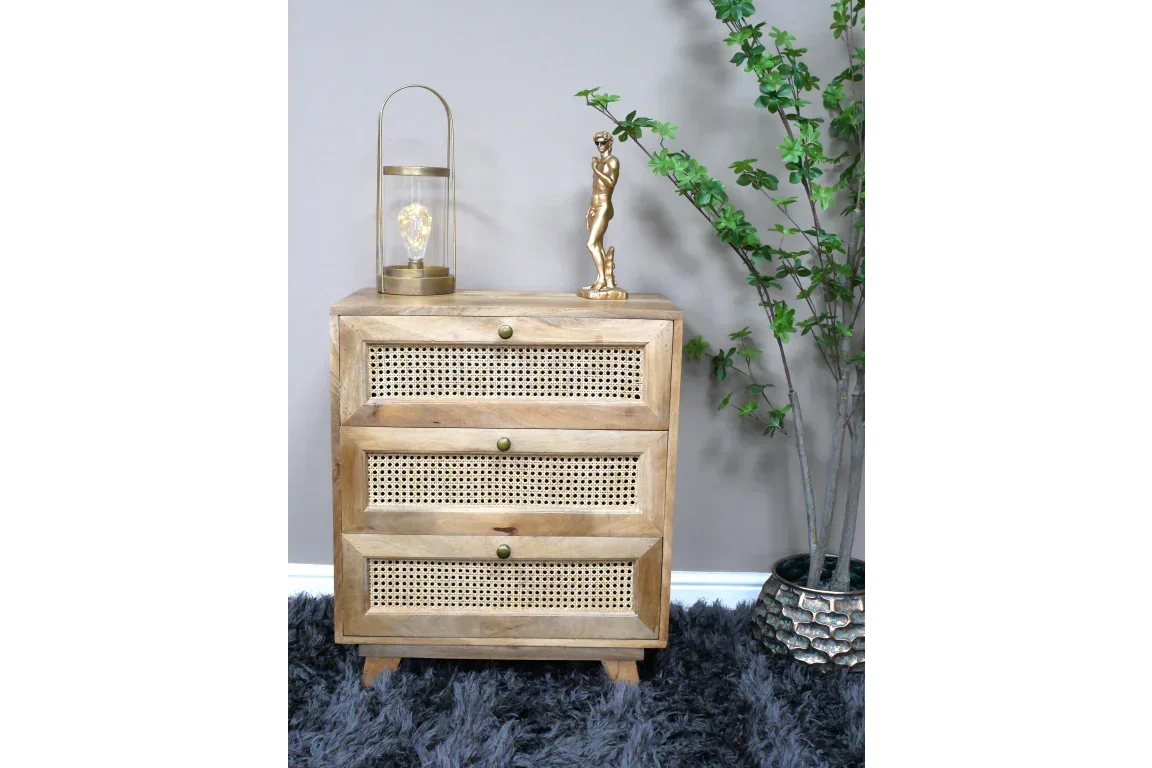 Natural wood chest of drawers with rattan fronts styled with lamp and decor beside green plant