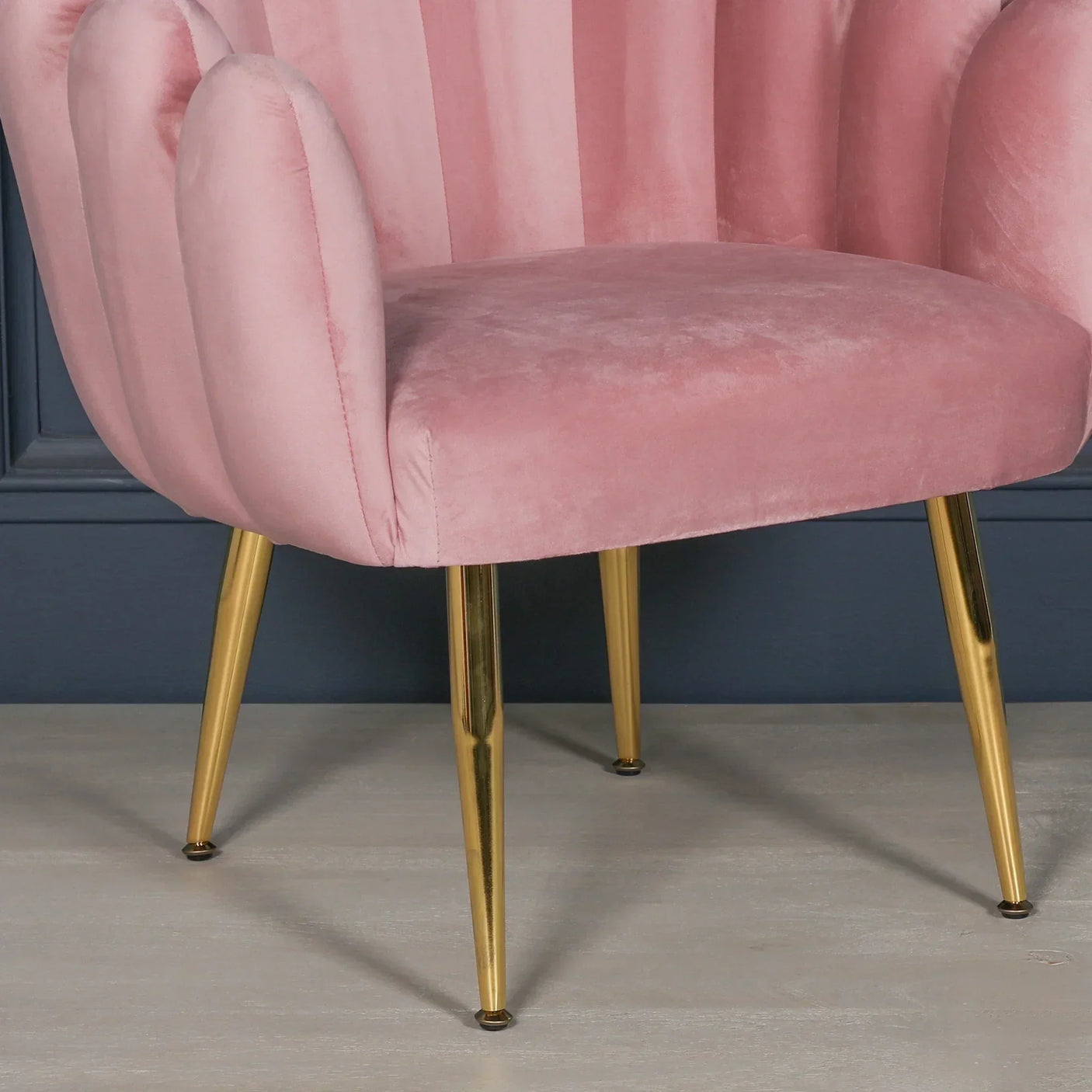 Pink velvet accent chair with gold metal legs and scalloped backrest