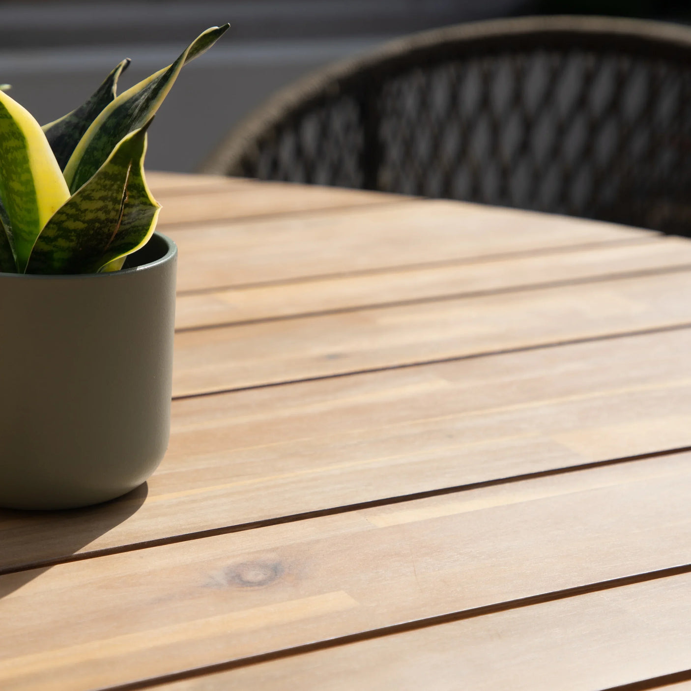 Slatted wooden outdoor dining table with green potted plant and woven chair in sunlight