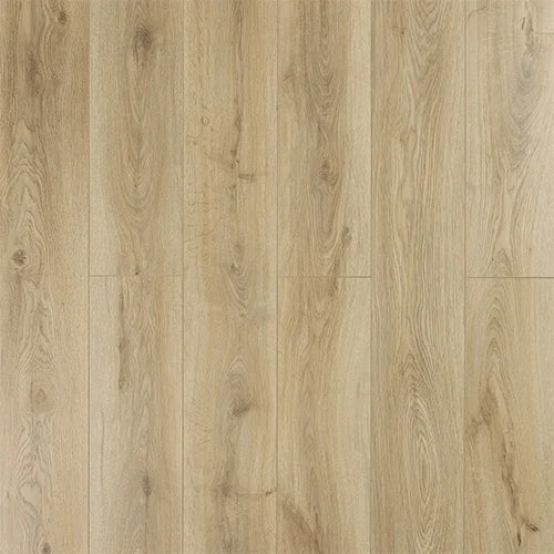 Exquisite Beachwood Oak
