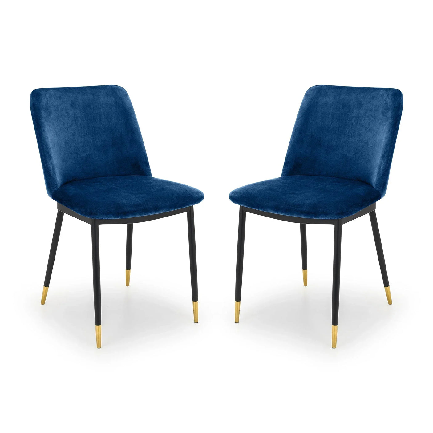 Set of two blue velvet dining chairs with black legs and gold tips on white background