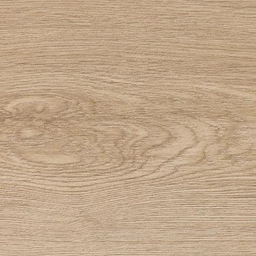 honey oak wood grain surface panel with light natural finish and subtle texture