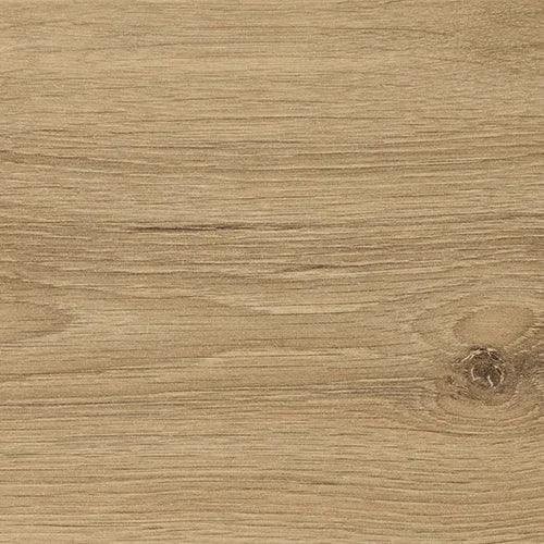 Natural oak wood grain texture for furniture surface, light brown color with visible knots