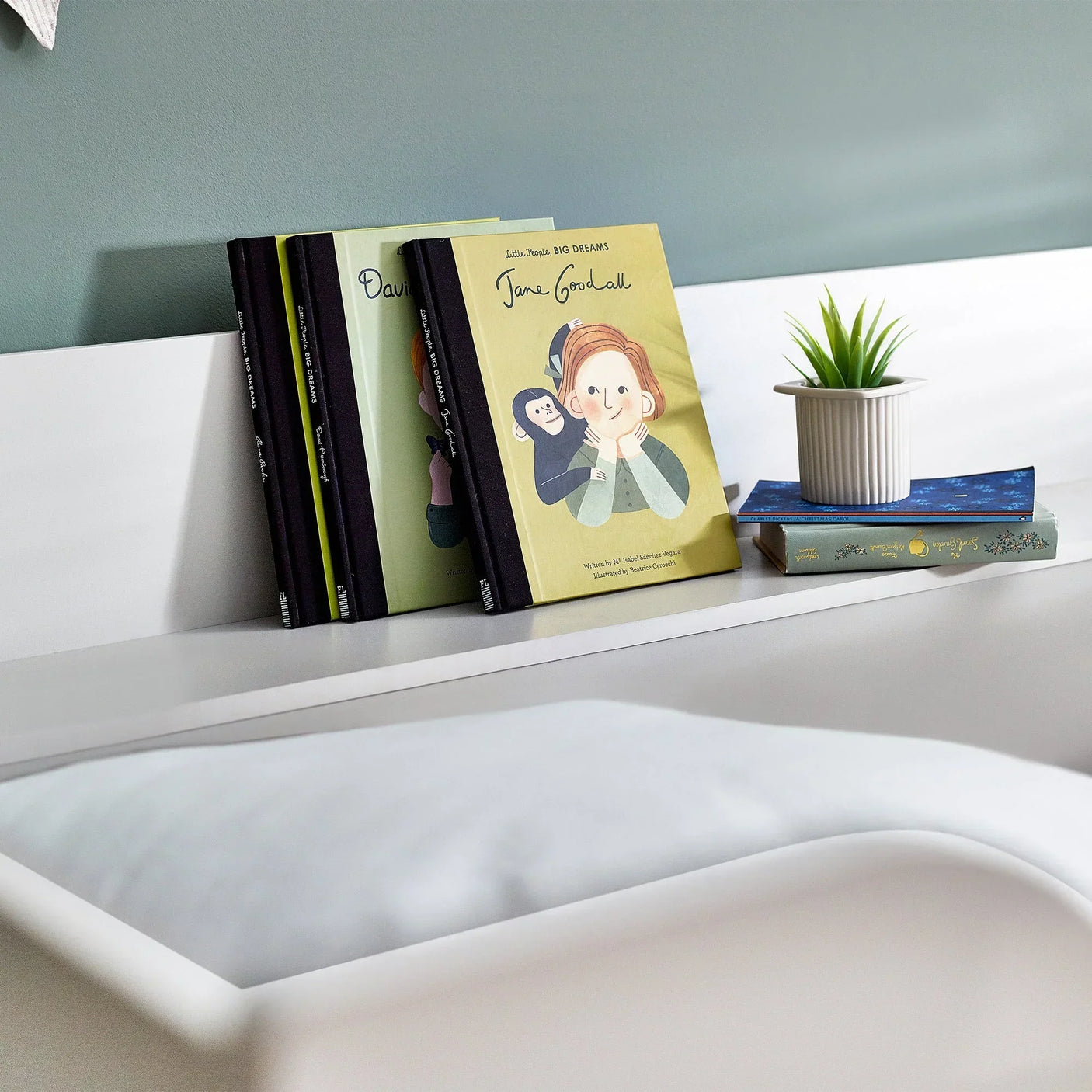 White bunk bed shelf with books and a small plant on headboard