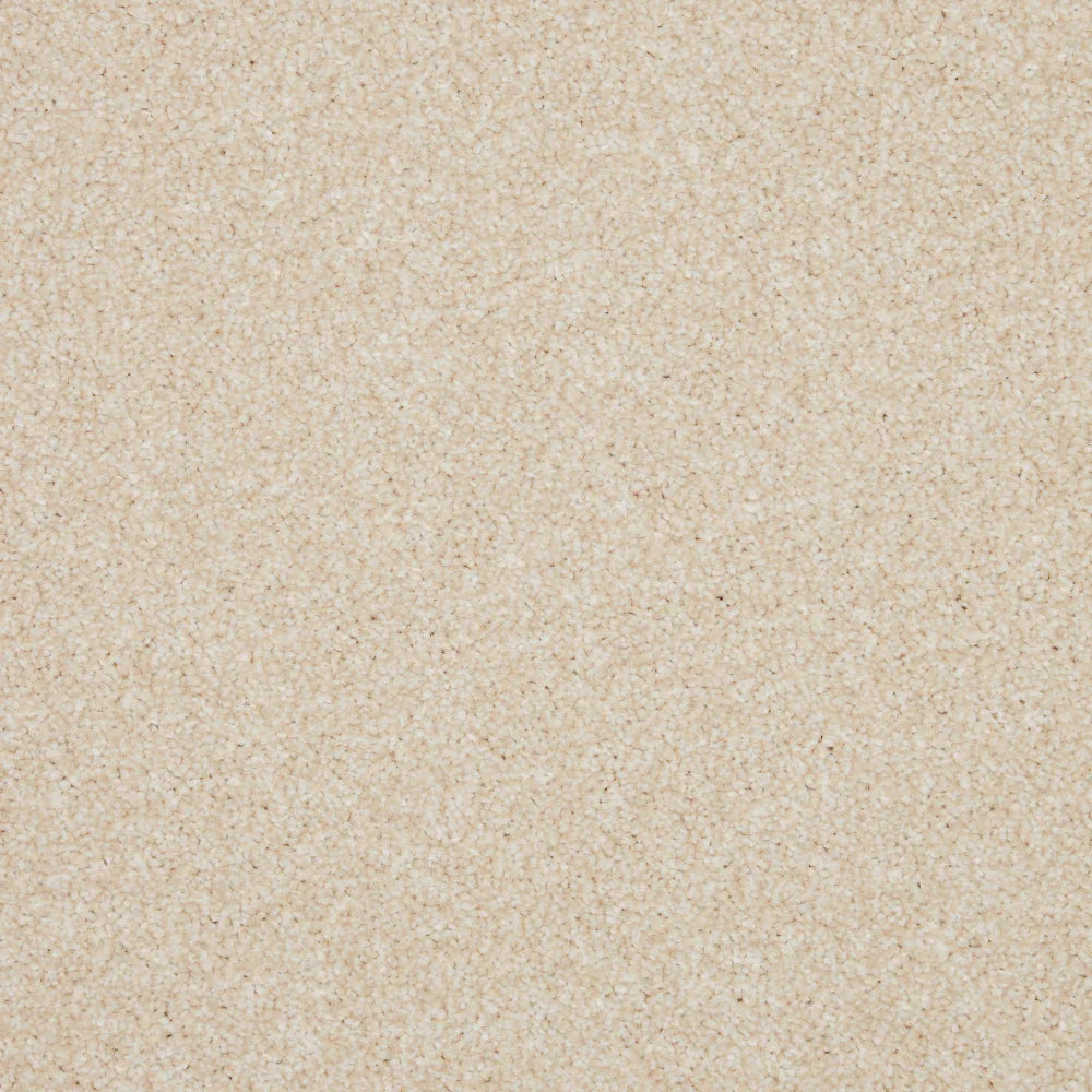 Inglewood Saxony Devon Cream Carpet - Devon Cream / 4m