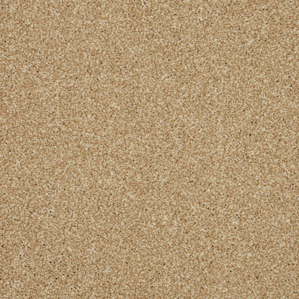 Inglewood Saxony Sandbank Carpet - Sandbank / 4m