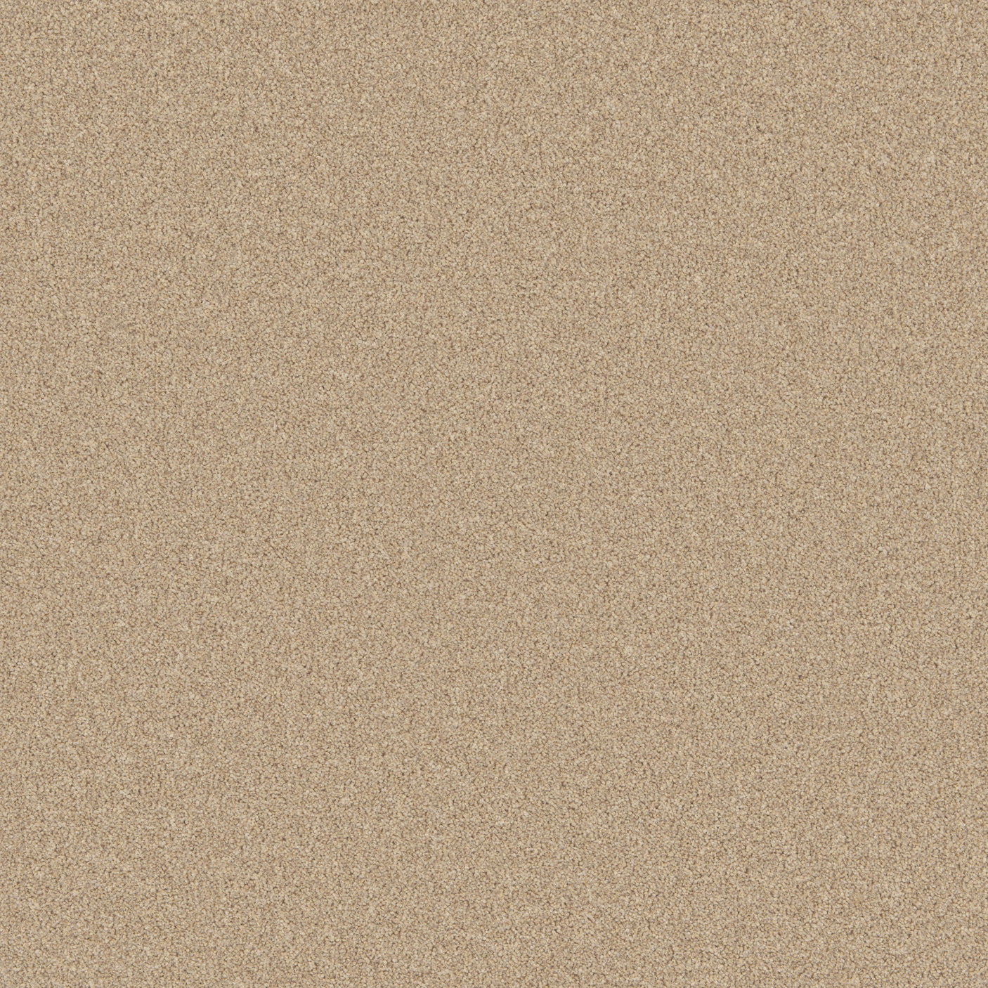 Warm beige carpet with a soft, even texture in a cozy living room setting | Home Centre Direct UK