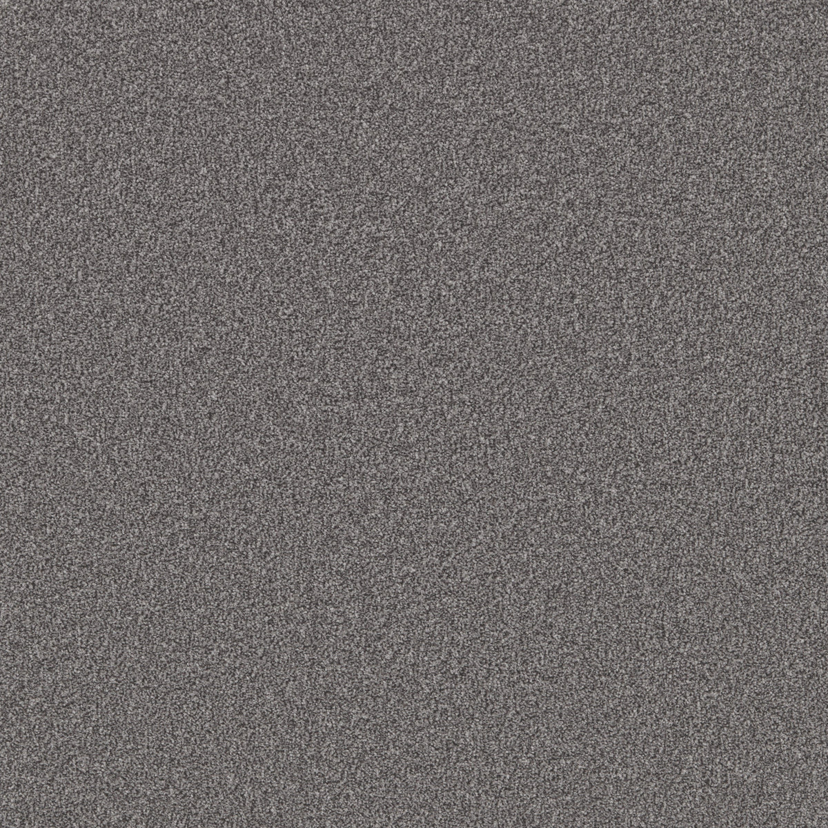 Grey quartz carpet with speckled texture in a soft loop pile | Home Centre Direct UK