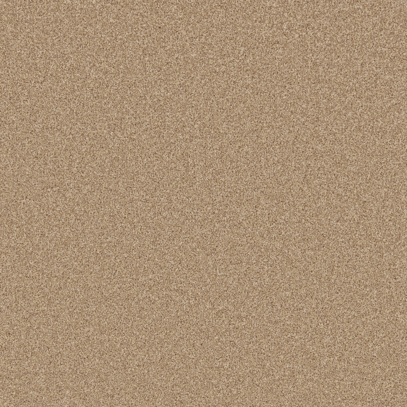Sandstone beige carpet with fine textured weave | Home Centre Direct UK