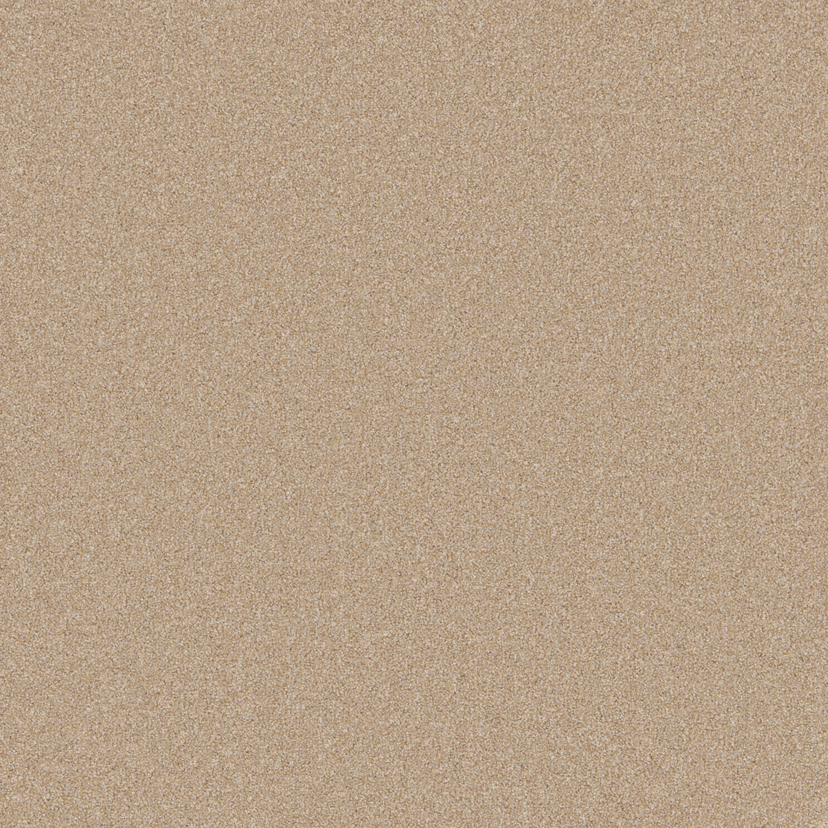 Tan carpet with a soft, even texture in a neutral setting | Home Centre Direct UK