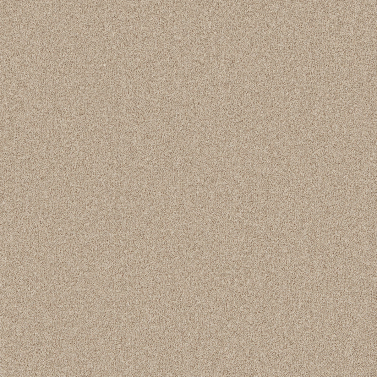 Warm beige carpet with a soft, even texture in a plush finish | Home Centre Direct UK