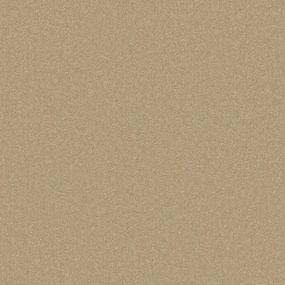 Warm beige carpet with smooth texture in a soft pile finish | Home Centre Direct UK